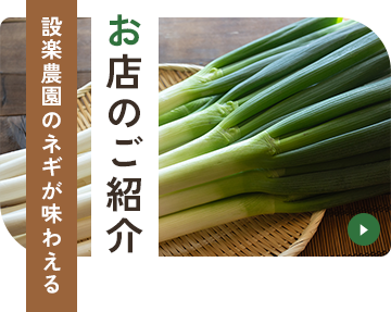 お店のご紹介設楽農園のネギが味わえる